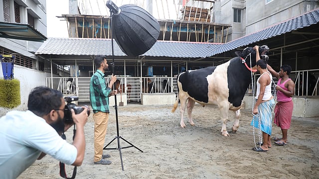 বিজ্ঞাপনের জন্য টাইটানিকের  ছবি তোলা হচ্ছে। মোহাম্মদপুর, ঢাকা, ১৮ জুলাই। ছবি: আবদুস সালাম