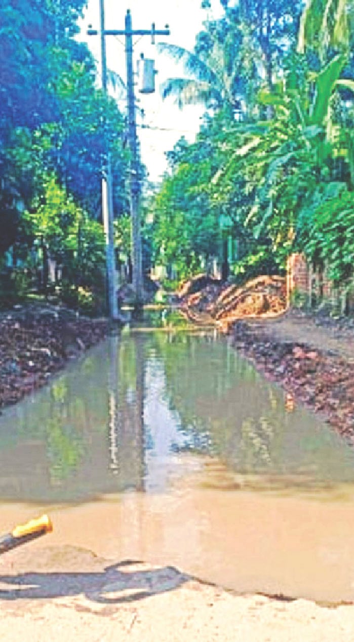 নবাবগঞ্জের যন্ত্রাইল ইউনিয়নের গোবিন্দপুরের ডাক্তারবাড়ি থেকে নয়নশ্রী ইউনিয়নের বালিরডিগরের অরুণের বাড়ি পর্যন্ত এক কিলোমিটার সড়ক এভাবেই খুঁড়ে রাখা হয়েছে। বুধবার বিকেলে তোলা। ছবি: প্রথম আলো