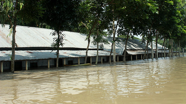 থই থই পানিতে শিক্ষাপ্রতিষ্ঠান