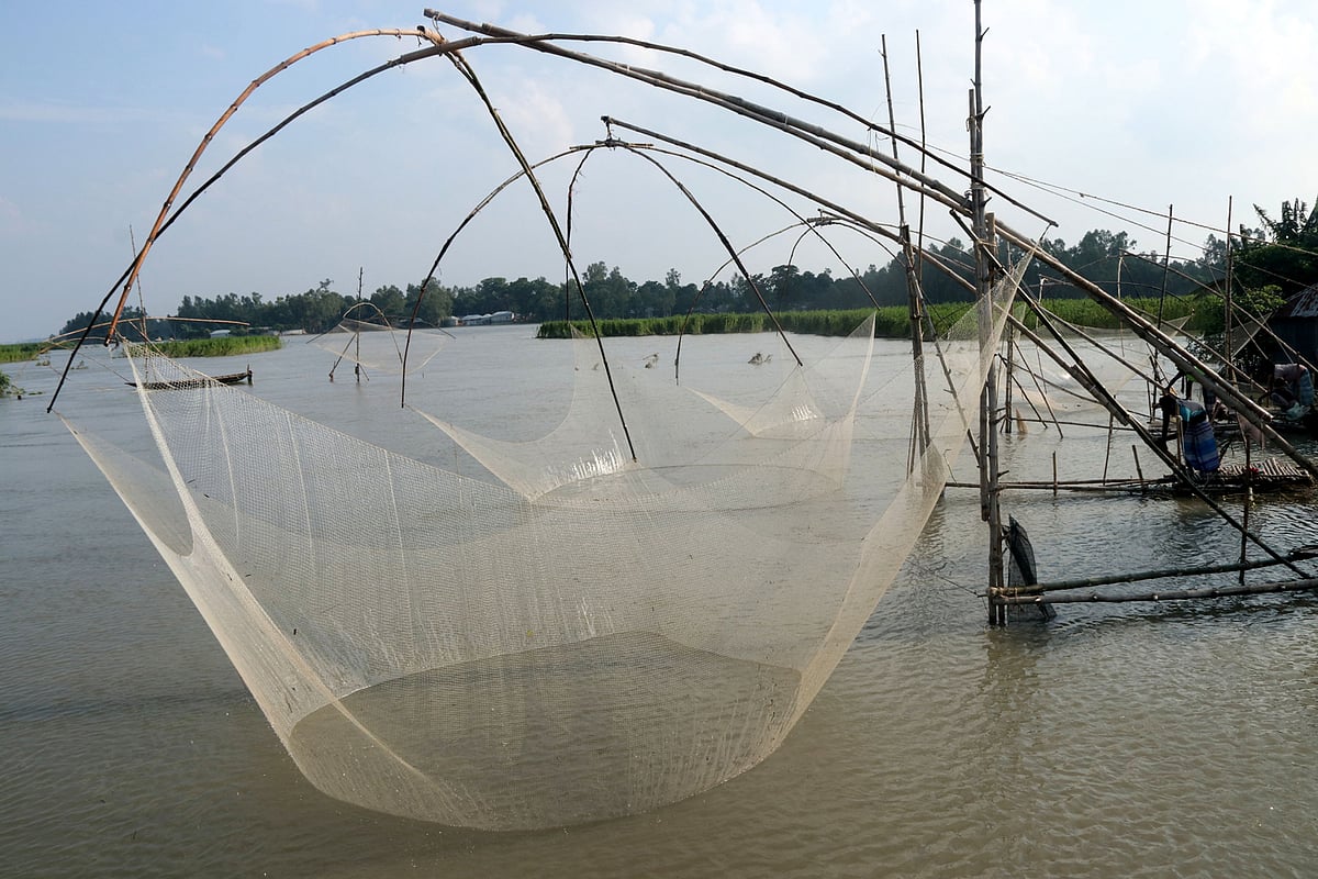 নদীতে ঝাড়জাল ফেলে মাছ শিকার