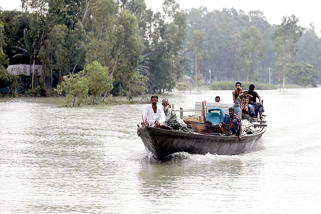 আশ্রয়ের খোঁজে