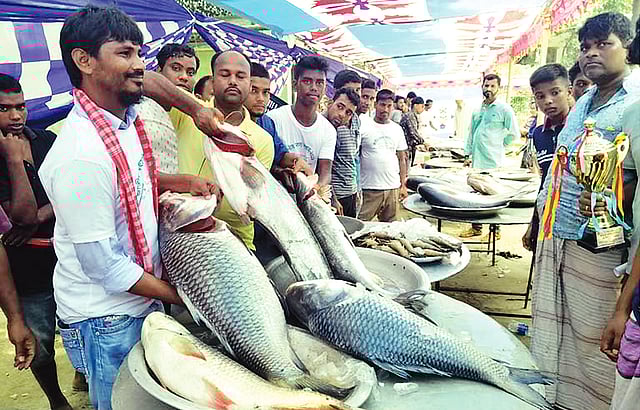 এবারই প্রথম ভৈরবের উপজেলা মৎস্য দপ্তরে বসেছিল মাছের মেলা।  ছবি: প্রথম আলো