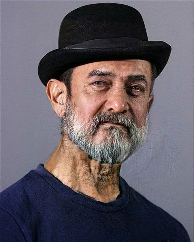 শাহরুখ খান আর সালমান খান থেকে আমির খান মাত্র এক বছরের বড়। যখন আরও ২০টা বসন্ত পার হবে, তখন ৫৪ বছর বয়সী এই ‘ধুম’ তারকাকে এমনটাই দেখাবে