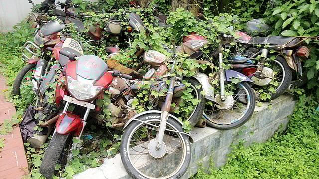 আগাছায় পূর্ণ মোটরসাইকেল