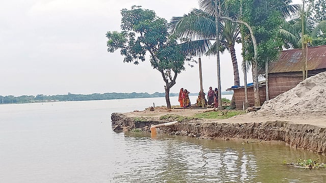 ময়মনসিংহের গৌরীপুর উপজেলার ভাংনামারী ইউনিয়নের আটটি গ্রামে ব্রহ্মপুত্র নদের ভাঙন দেখা দিয়েছে। গত বুধবার বিকেলে খোদাবক্সপুর গ্রামে।  ছবি: প্রথম আলো