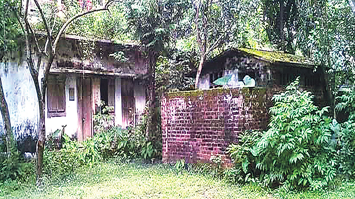 দীর্ঘদিনের অব্যবহারে ধ্বংস হয়ে যাচ্ছে কৃষি বিভাগের বিভিন্ন ভবন। সম্প্রতি দিনাজপুরের নবাবগঞ্জ উপজেলার দাউদপুর উপসহকারী কৃষি কর্মকর্তার আবাসিক ভবনে। ছবি: প্রথম আলো