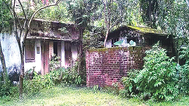 দীর্ঘদিনের অব্যবহারে ধ্বংস হয়ে যাচ্ছে কৃষি বিভাগের বিভিন্ন ভবন। সম্প্রতি দিনাজপুরের নবাবগঞ্জ উপজেলার দাউদপুর উপসহকারী কৃষি কর্মকর্তার আবাসিক ভবনে।  ছবি: প্রথম আলো