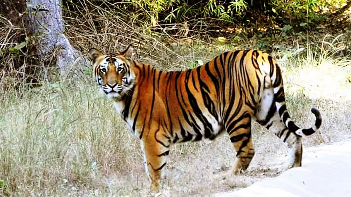 ভাস্কর মুখার্জি