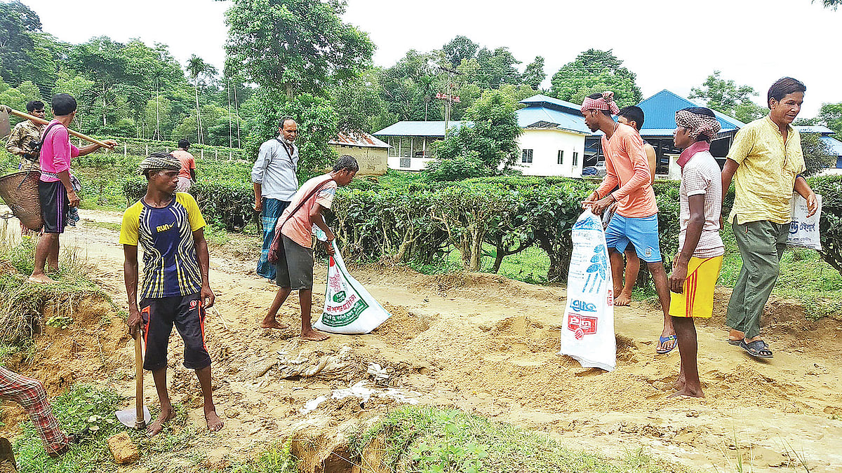 স্বেচ্ছাশ্রমে সড়ক সংস্কারের কাজ করছেন খাসিয়াপুঞ্জিতে বসবাসকারী মানুষেরা। গতকাল সকালে মৌলভীবাজারের শ্রীমঙ্গলের লাংলিয়া খাসিয়াপুঞ্জির প্রবেশপথে। ছবি: প্রথম আলো