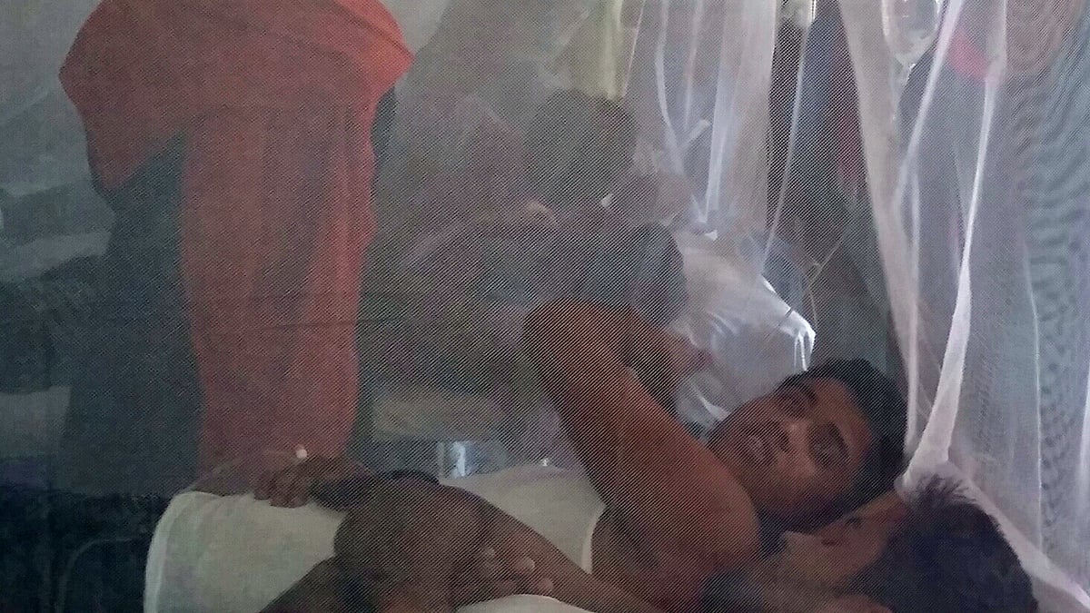 ফাইল ছবি প্রথম আলো 