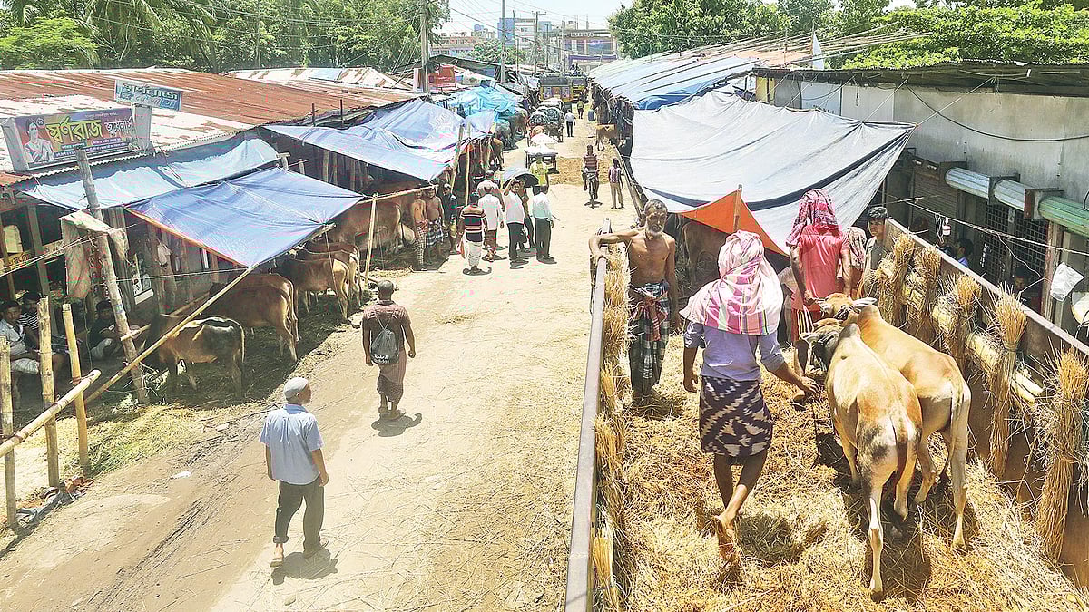 চট্টগ্রাম নগরে সড়কের ওপর শর্ত ভঙ্গ করে পশুর হাট বসানো হয়েছে। গতকাল দুপুর সাড়ে ১২টায় স্টিলমিল বাজার এলাকায়।  সৌরভ দাশ