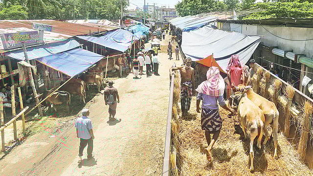 চট্টগ্রাম নগরে সড়কের ওপর শর্ত ভঙ্গ করে পশুর হাট বসানো হয়েছে। গতকাল দুপুর সাড়ে ১২টায় স্টিলমিল বাজার এলাকায়।  সৌরভ দাশ
