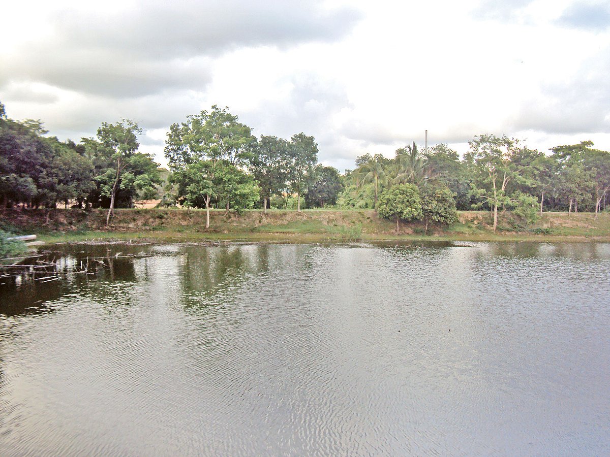 চার একর জায়গাজুড়ে চাঁদ সওদাগরের দিঘি।  ছবি: প্রথম আলো