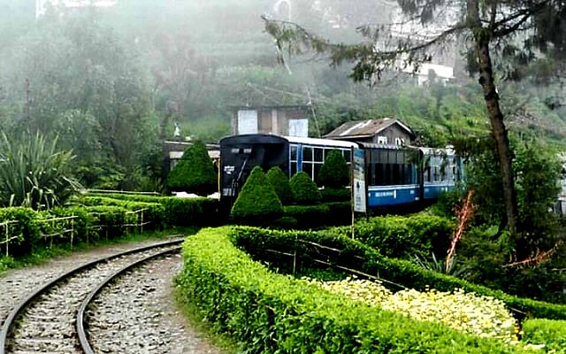 দার্জিলিং। ছবি: ভাস্কর মুখার্জি