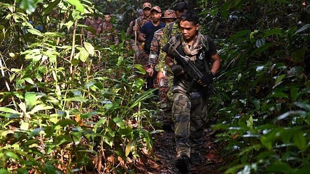 নোরাকে খুঁজতে গহিন জঙ্গলে অভিযান চালাচ্ছে পুলিশ। ছবি: এএফপি