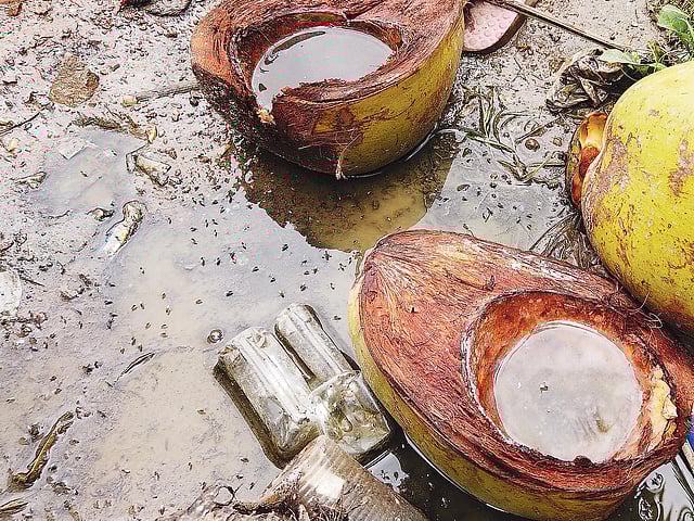 ঢাকা মেডিকেলের উন্মুক্ত জায়গায় ডাবের খোসায় জমে আছে পানি, যা মশা বিস্তারে সহায়তা করতে পারে। গতকাল সকালে।  শুভ্র কান্তি দাশ