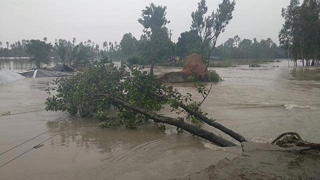 প্রথম আলো ফাইল ছবি