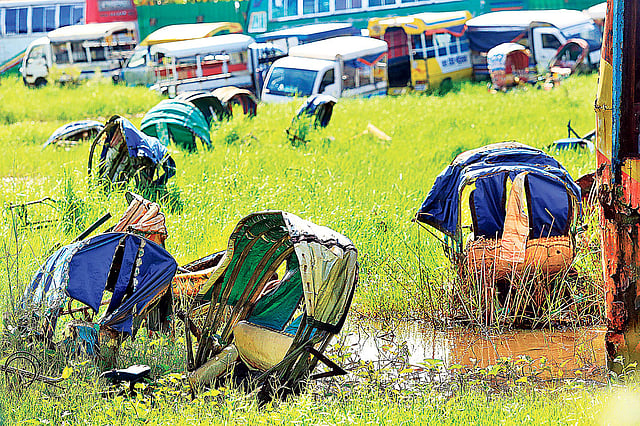 রাজধানীর বিভিন্ন থানার জব্দ করা গাড়ি এখানে রাখা হয়। গাড়ি ও চারপাশের পুরো এলাকাতে বছরের বেশির ভাগ সময় জমে থাকে পানি, যা এডিস মশার প্রজননের উপযুক্ত পরিবেশ। গতকাল কাঁচপুর এলাকায়।  ছবি: হাসান রাজা