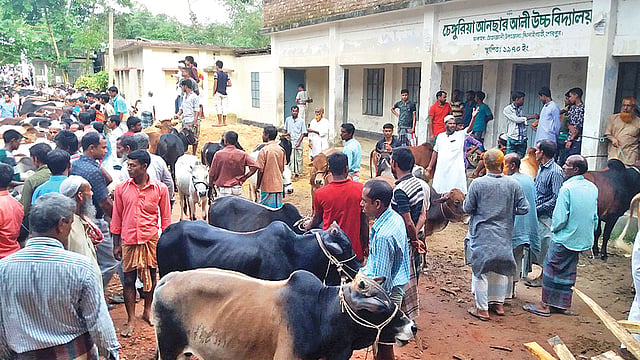 ঝিনাইগাতীর চেঙ্গুরিয়া আনছার আলী উচ্চবিদ্যালয়ের মাঠে বসেছে গরুর হাট। সেই হাটে ক্রেতা-বিক্রেতাদের সমাগম। ছবিটি ৭ আগস্টের।  প্রথম আলো
