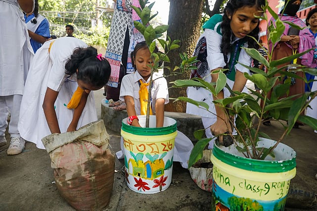 ড্রইং করা ড্রামে গাছ লাগাচ্ছে শিক্ষার্থীরা।