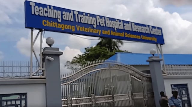 চট্টগ্রাম ভেটেরিনারি অ্যান্ড অ্যানিমেল সায়েন্সেস ইউনিভার্সিটির অধীনে ঢাকায় পূর্বাচল নিউটাউনে গড়ে উঠেছে টিচিং অ্যান্ড ট্রেনিং পেট হসপিটাল অ্যান্ড রিসার্চ সেন্টার। ছবি: প্রথম আলো