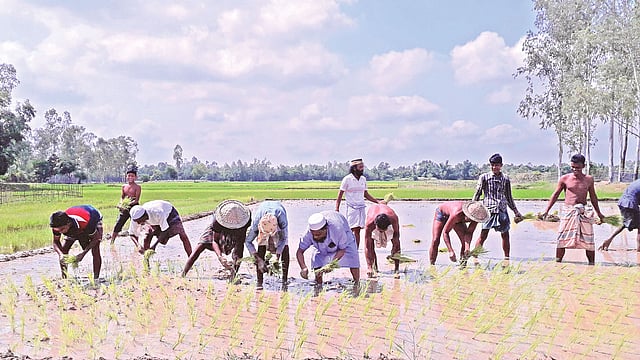 খেতবাড়ানি উৎসব। শ্রীমঙ্গল উপজেলার খোশবাস গ্রামে।  ছবি: প্রথম আলো