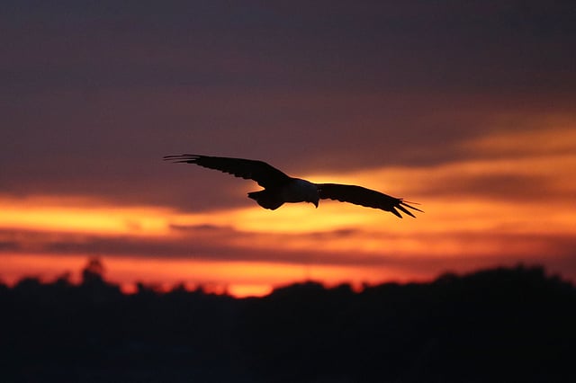 সোনারঙে রাঙানো আকাশ।