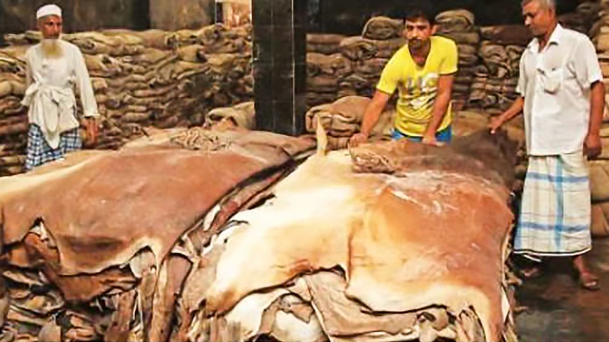 চামড়া নিয়েই যত বিপত্তি