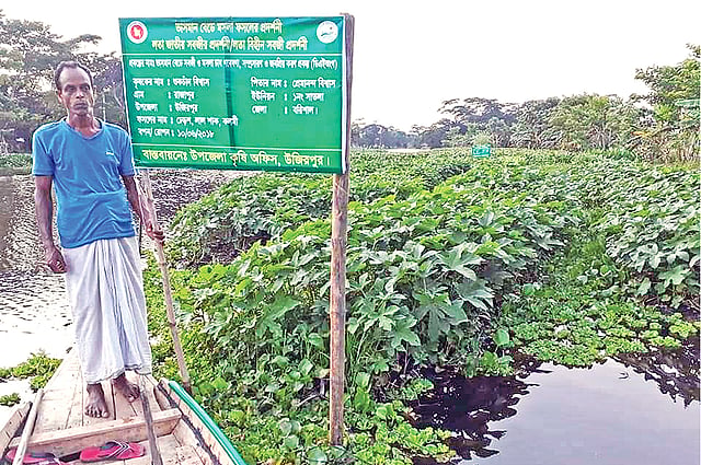 ভাসমান বেডে চাষ করা হয়েছে বিভিন্ন ধরনের সবজি। গত বুধবারের ছবি। প্রথম আলো