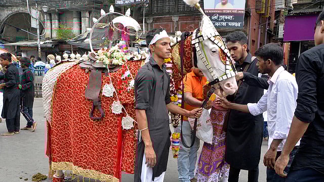 তাজিয়া মিছিলে অংশ নেওয়া ঘোড়া। ছবি: ভাস্কর মুখার্জি