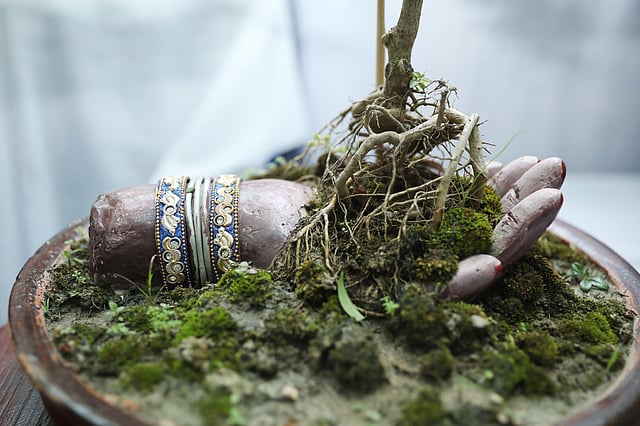 যেন হাতের তালুতে বেড়ে উঠছে বনসাইটি।