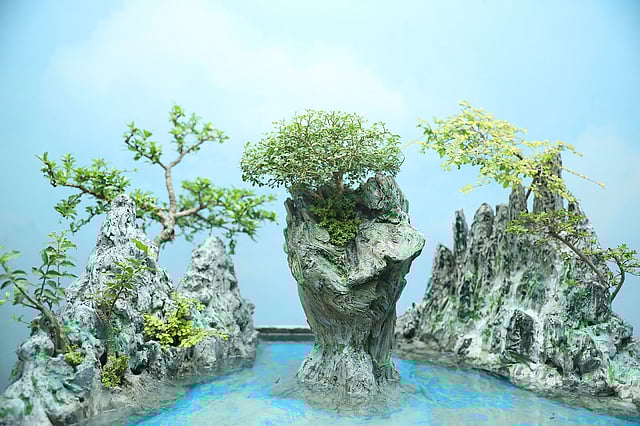 বনসাই দিয়ে করা একটি নৈসর্গিক দৃশ্য।