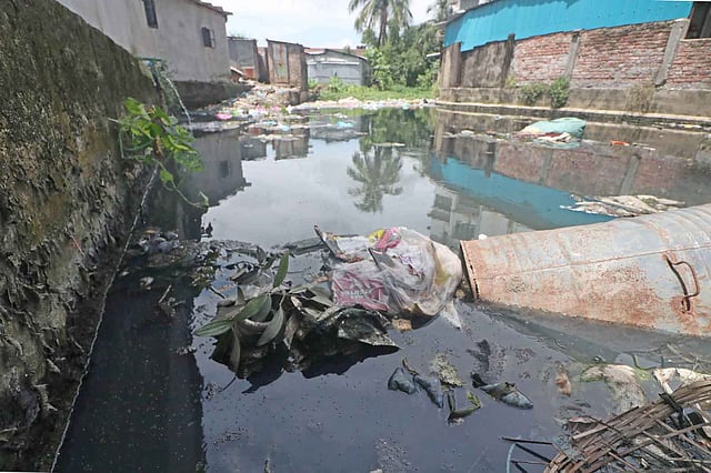 ছড়ার পানি দূষিত হয়ে কালচে হয়ে গেছে।