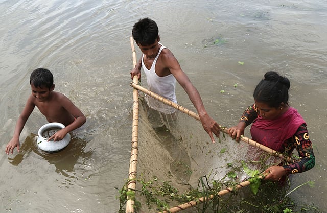মাছ ধরার উৎসবে শামিল হয়েছেন আদর্শ গ্রামের বাসিন্দারা।