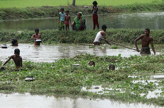 সবাই মিলে মাছ ধরার আনন্দই আলাদা।