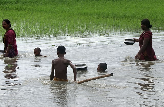 কেউ মাছ ধরছে, আবার কেউ সেই মাছ রাখার জন্য পাতিল নিয়ে পাশে পাশে থাকছে।