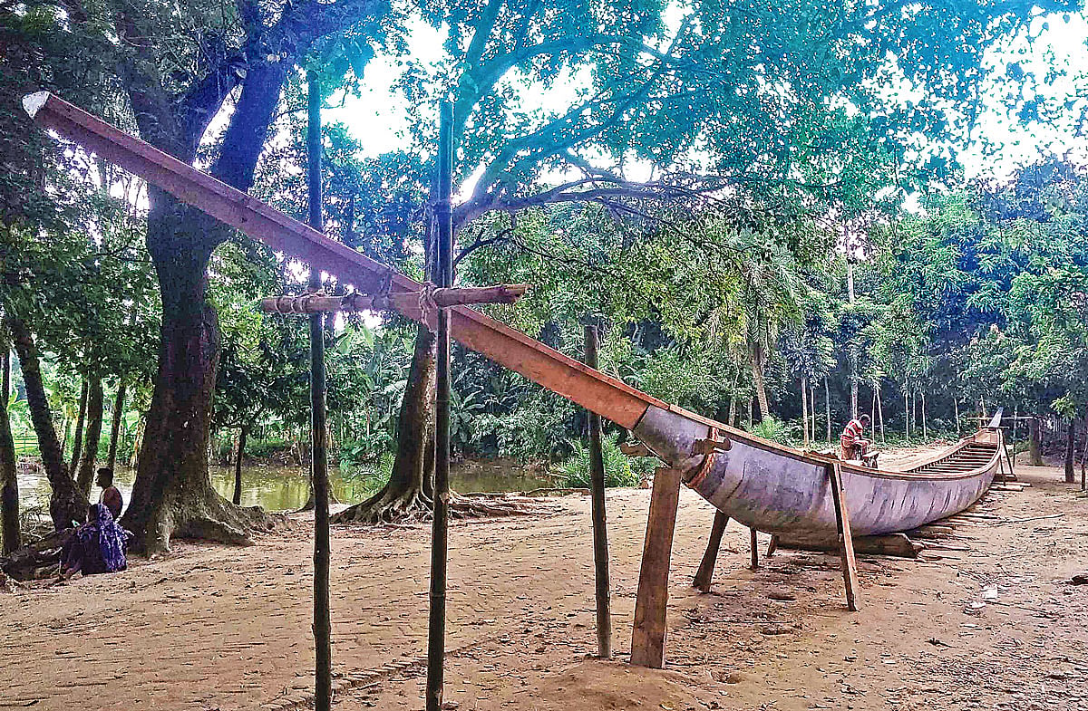 সরকারি গাছ কেটে নৌকা বানিয়েছেন ক্ষমতাসীন দলের লোকজন। গত শুক্রবার বগুড়ার শাজাহানপুর উপজেলার ডোপলাপাড়া গ্রামে। ছবি: প্রথম আলো