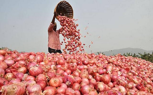উৎপাদনকারী অসহায় কৃষক পেঁয়াজের ঝাঁজে ফেলেন চোখের পানি। ছবি: সংগৃহীত