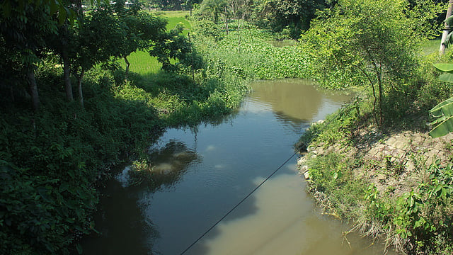 মৃতপ্রায় ব্রহ্মপুত্রের শাখা নদী সুতিয়া কচুরিপানায় পূর্ণ
