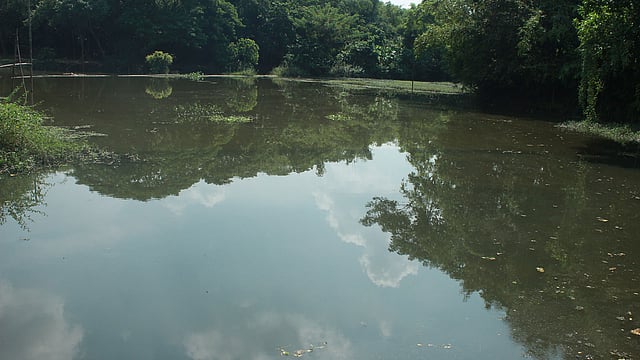 একসময়ের প্রমত্ত সুতিয়া নদী