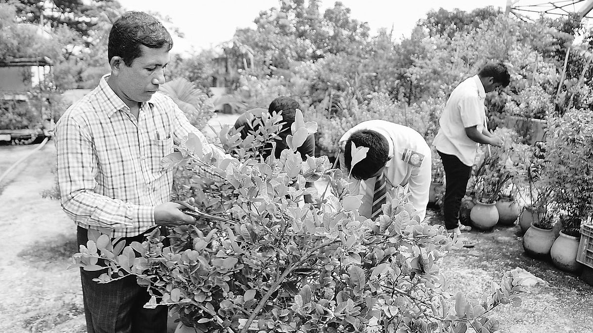ক্লাস শেষে শিক্ষার্থীদের নিয়ে ছাদবাগানে গাছের পরিচর্যায় ব্যস্ত শ্রীকান্ত চন্দ্র। ১৯ সেপ্টেম্বর তোলা।