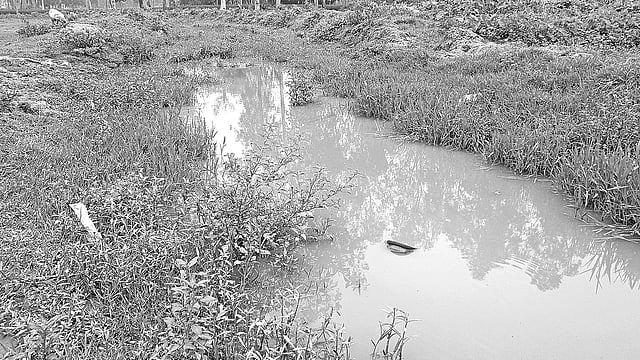 ঠিকাদারি প্রতিষ্ঠান সড়কের উন্নয়নকাজ শেষ না করে খুঁড়ে ফেলে রেখেছে। সড়কটি এখন পরিণত হয়েছে খালে। এতে দুর্ভোগে পড়েছেন কয়েকটি গ্রামের মানুষ। গতকাল বগুড়ার শেরপুর উপজেলার বিশালপুর ইউনিয়নের নয়াপানিসারা-তেঁতুলিয়া সড়কে।  প্রথম আলো