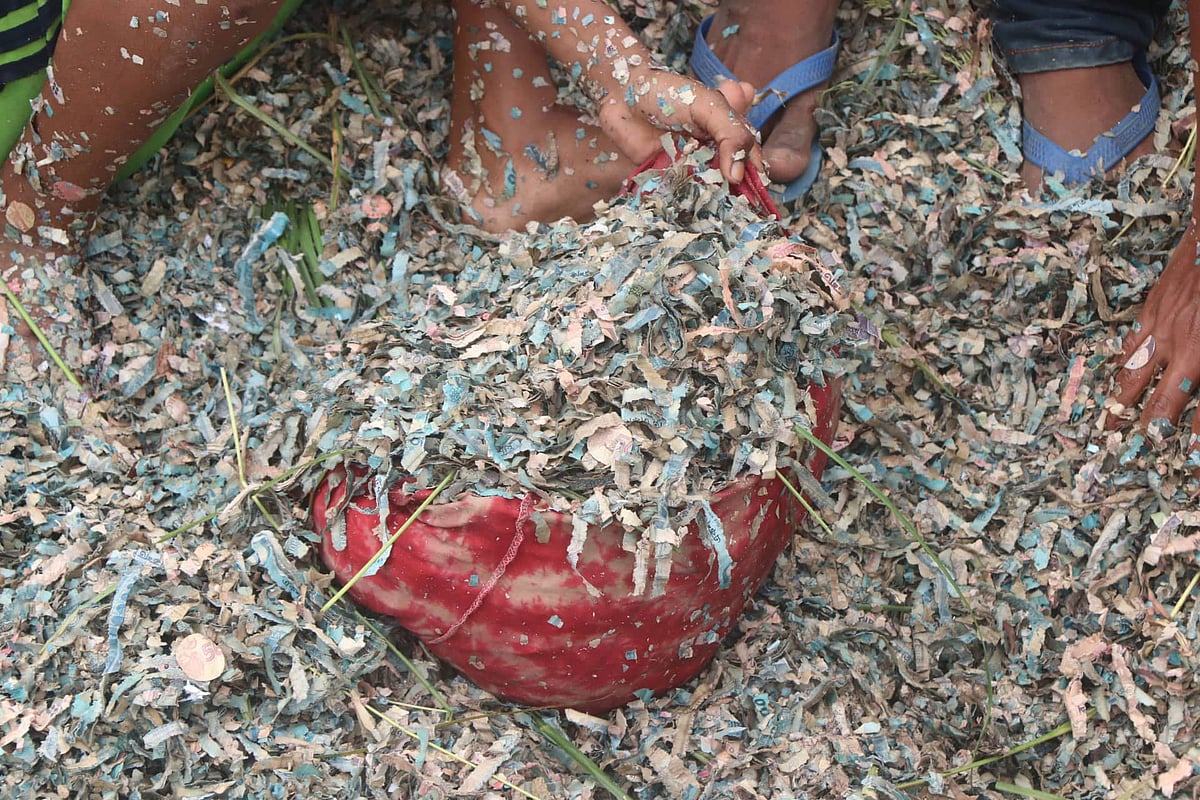 সড়ক ও সড়কের পাশের ডোবায় পড়ে থাকা কুচি কুচি ছেঁড়া টাকা। শাজাহানপুর, বগুড়া, ২৪ সেপ্টেম্বর। ছবি: সোয়েল রানা