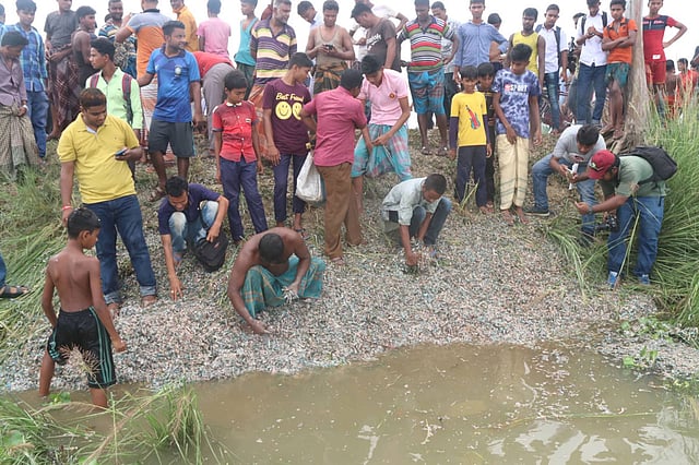 পড়ে থাকা কুচি কুচি ছেঁড়া টাকা ঘিরে উৎসুক জনতা। শাজাহানপুর, বগুড়া, ২৪ সেপ্টেম্বর। ছবি: সোয়েল রানা