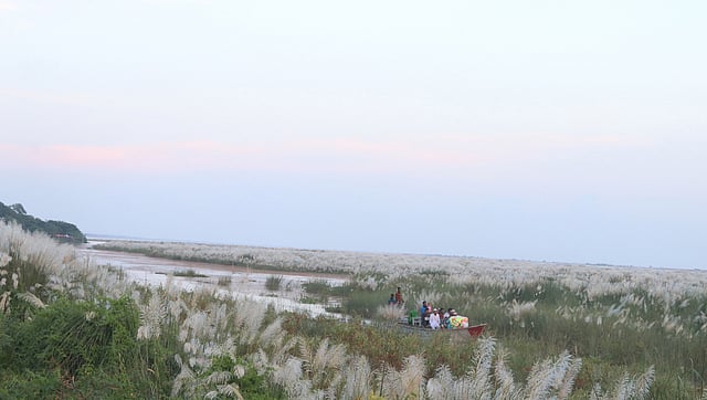 শরতের পদ্মা নৌকা ভ্রমণের জন্য আদর্শ সময়।