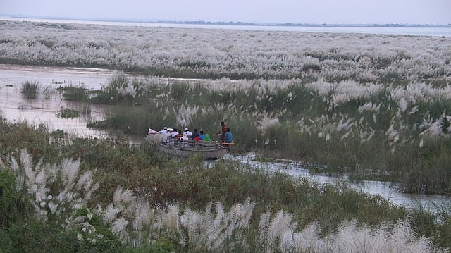 পরিবার এবং বন্ধুবান্ধব নিয়ে নৌকায় ঘুরে বেড়ানো যায় কাশ ফুল দেখতে দেখতে।
