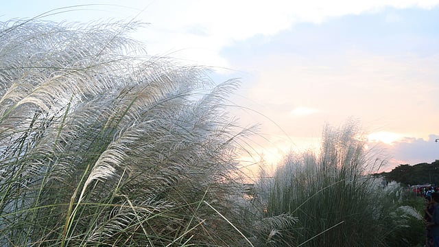 “এসেছে শরৎ হিমের পরশ লেগেছে হাওয়ার পরে...”