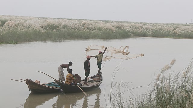 শরতের পদ্মায় জলযাপন।