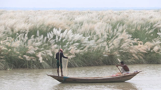 প্রস্তুতি।