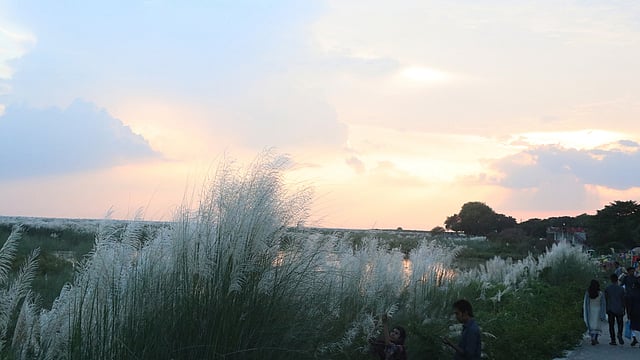 “এক ধারে কাশবন ফুলে ফুলে সাদা...”